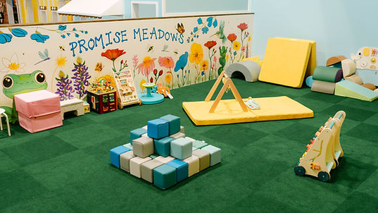 Promise Meadows.jpg