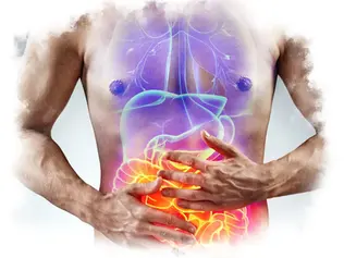 Zusammenhang zwischen Verdauung, Immunsystem und Gehirngesundheit