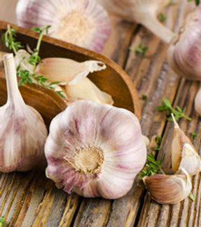 GARLIC.jpg