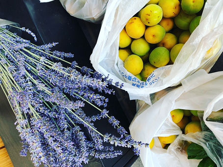 この時期の過ごし方