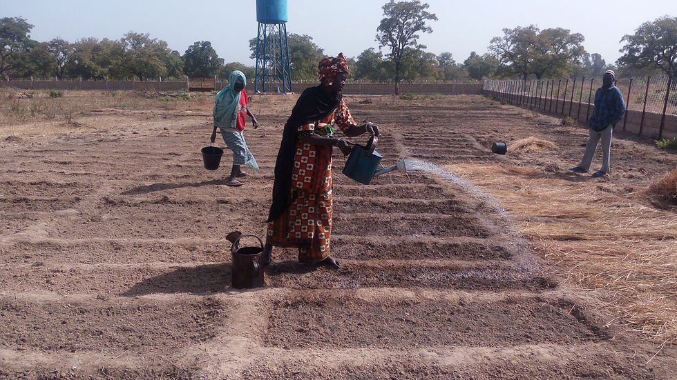 Haz clic para ver más fotos