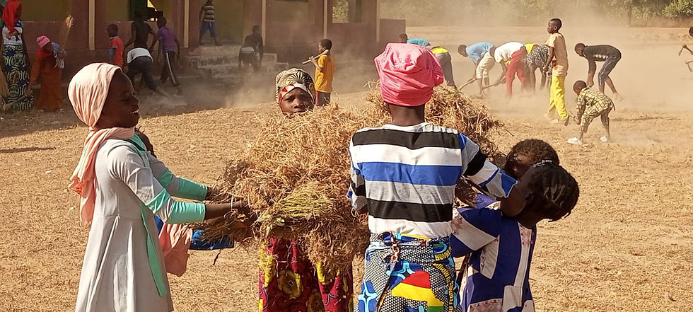Haz clic para ver más fotos de la limpieza del patio de la escuela de Kanso, en noviembre