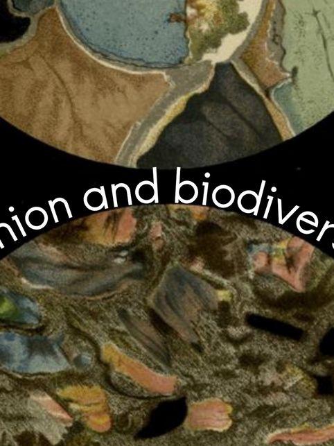 Fashion and Biodiversity – SDGs 14 and 15