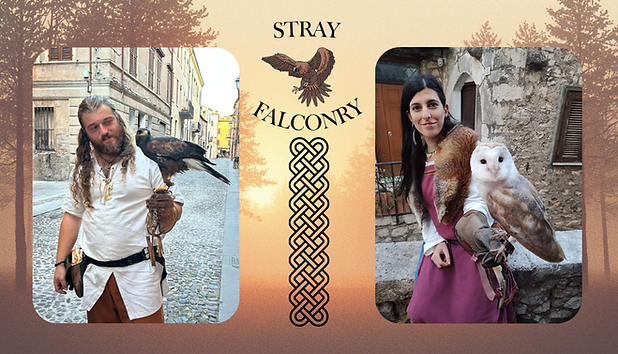 Stray Falconry.png