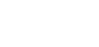 PTAS rev.png