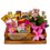 Miniatura: Cesta Bela Manhã