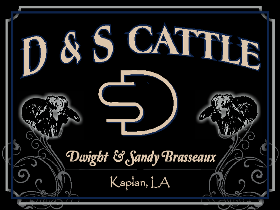 D_S Cattle Buisness Card.png