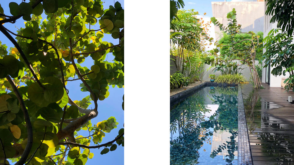 Presentation maison SINGAPOUR.006