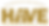 havegold-2.png