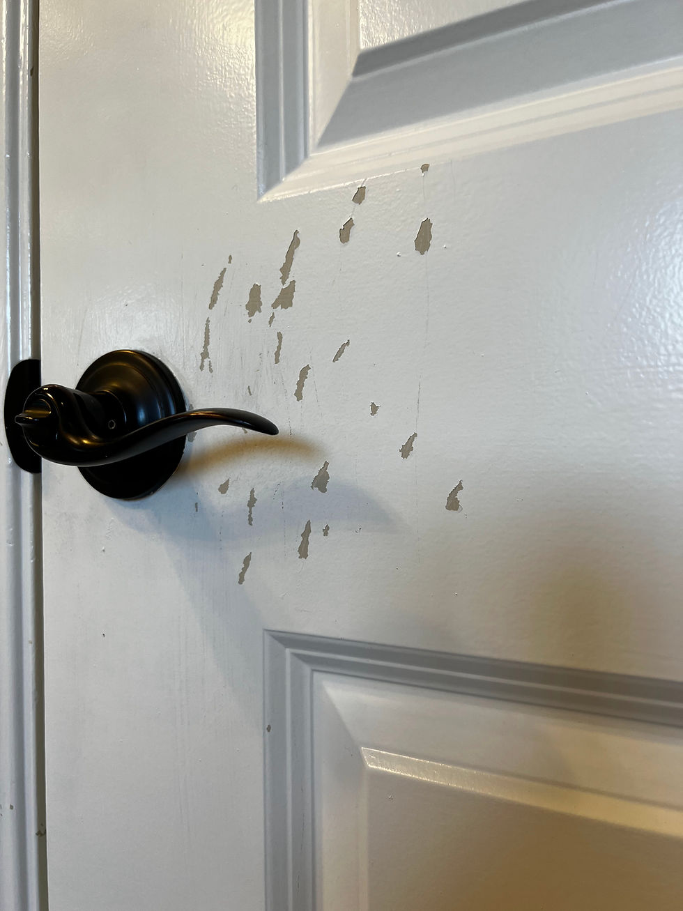 Bedroom Door repair (before)