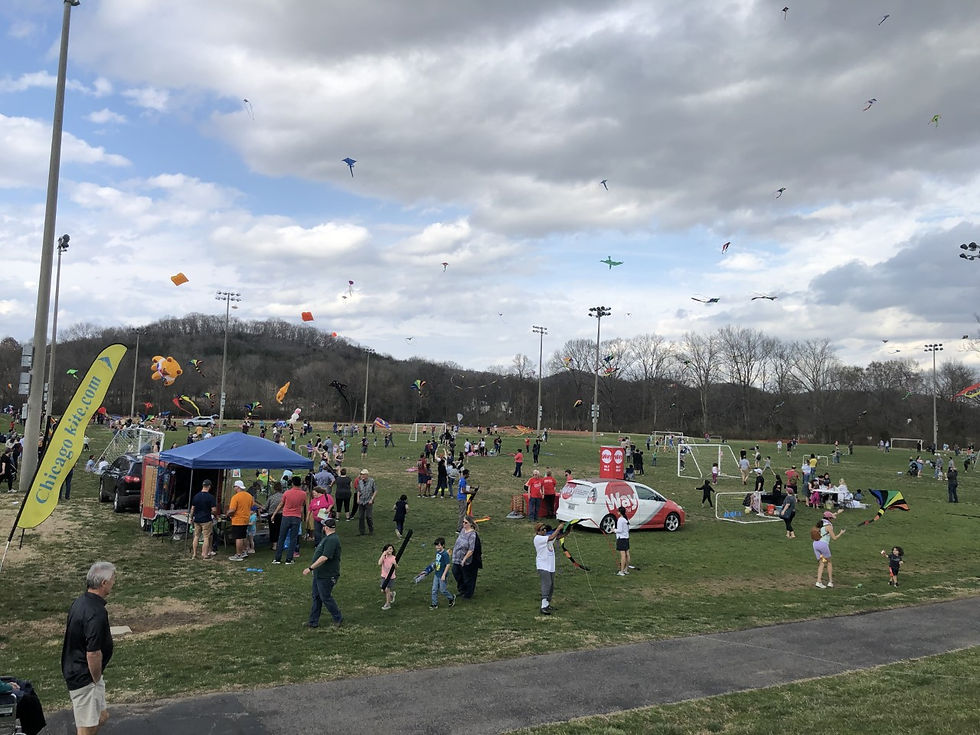 Williamson County Kite Festival March 5th 2023