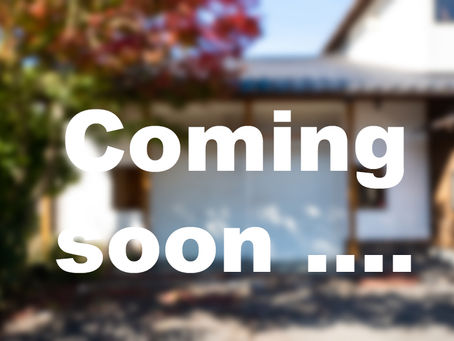 いよいよ始まります