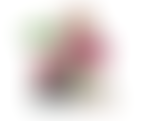 Acute vs Chronic Consultation in Homeopathy: What’s the Difference?