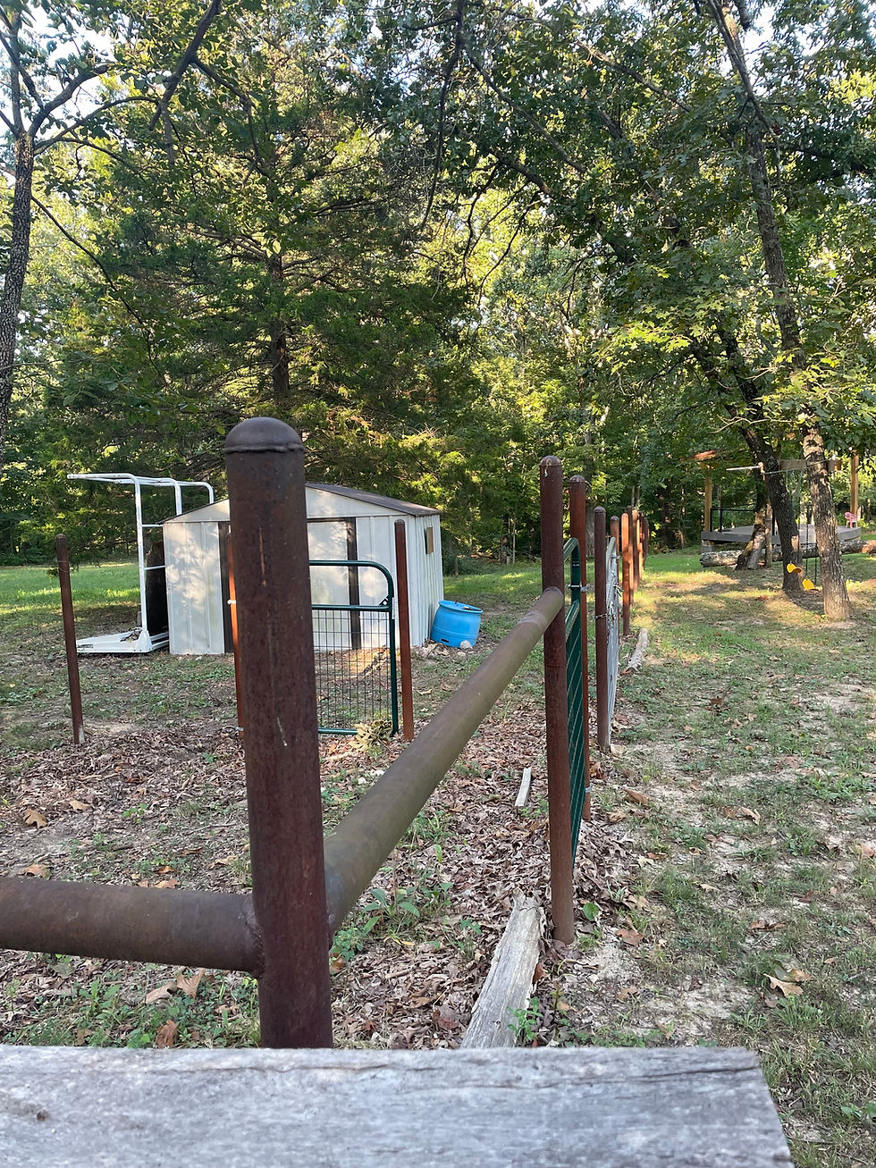Entrance to the petting zoo.