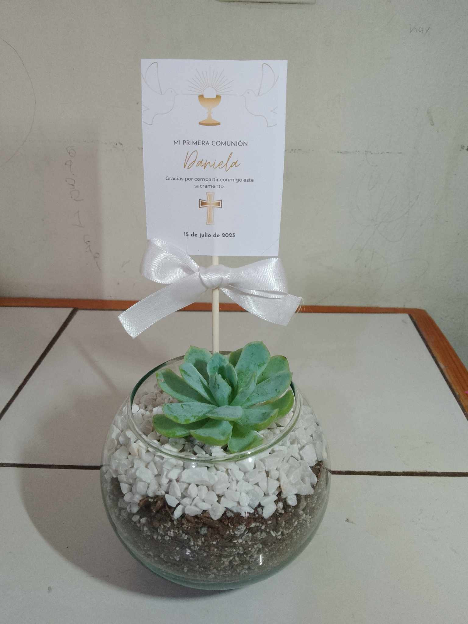 MINI TERRARIO