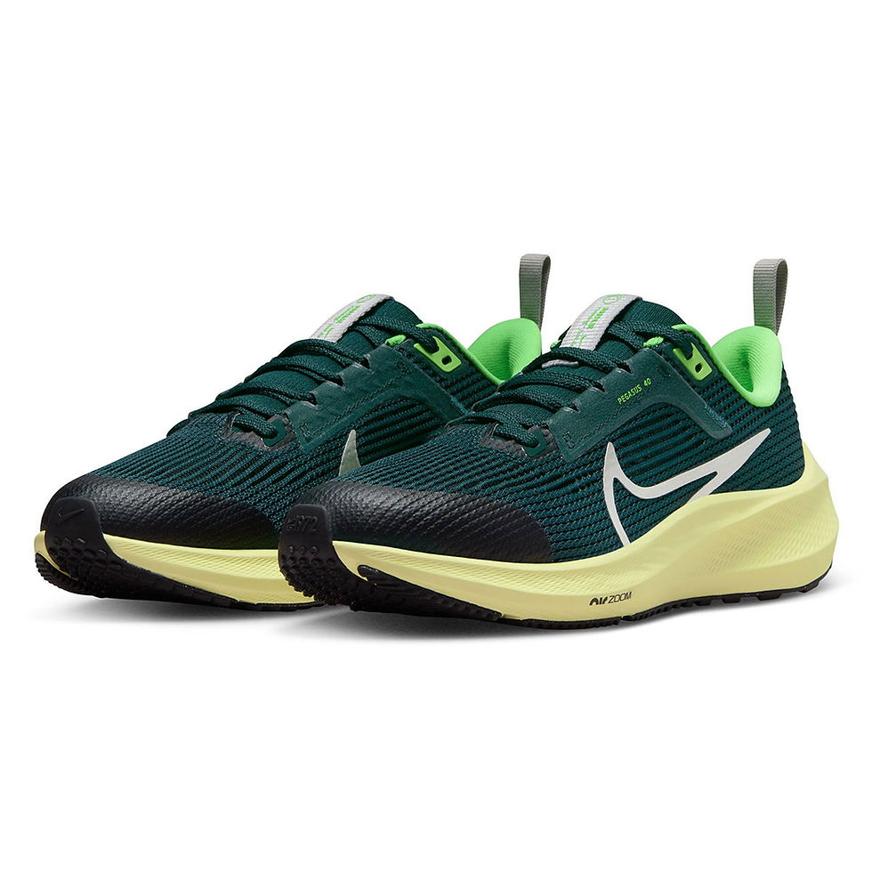 Миниатюра: Nike Pegasus 40