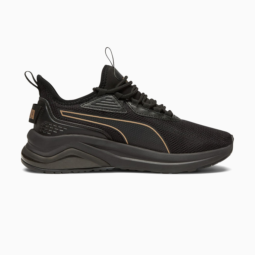 Миниатюра: PUMA Amplifier