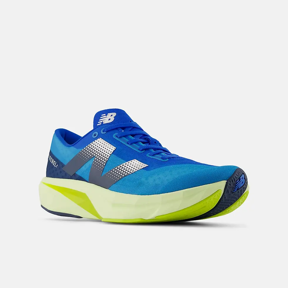Миниатюра: NB FuelCell Rebel v4