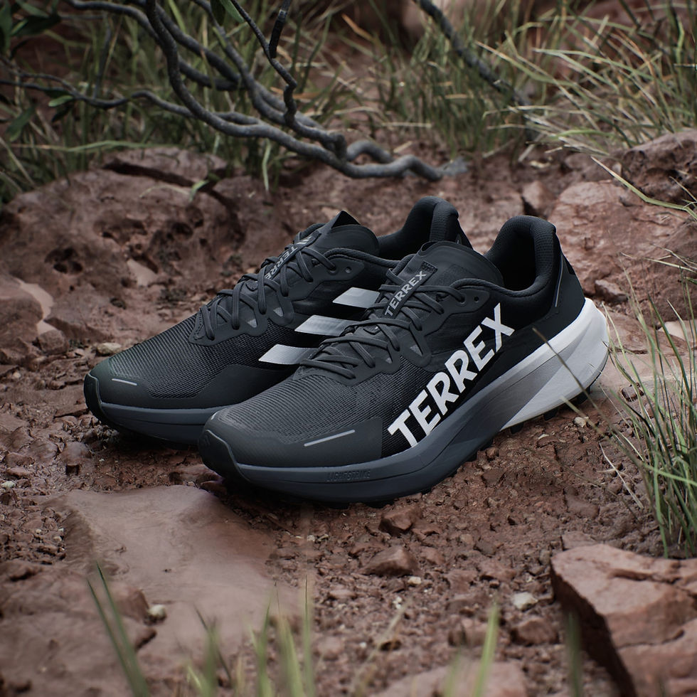 Миниатюра: Adidas Terrex Agravic 3
