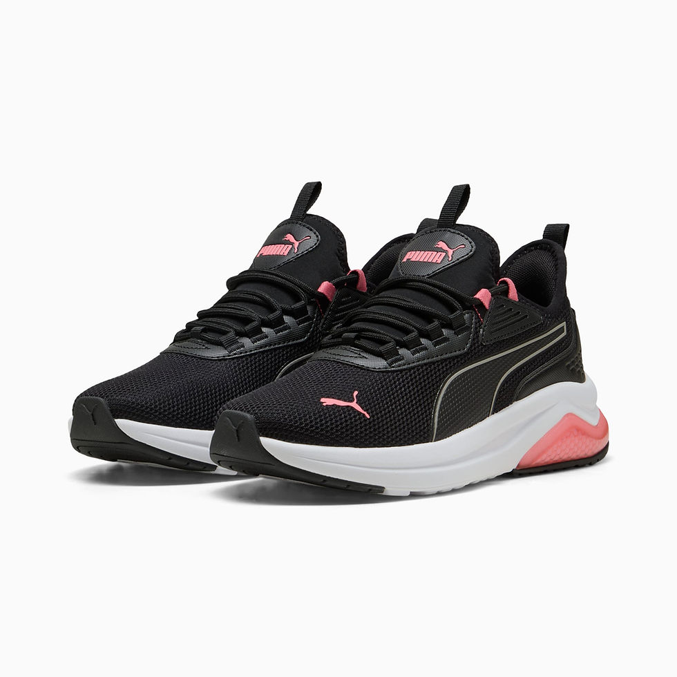 Миниатюра: PUMA Amplifier
