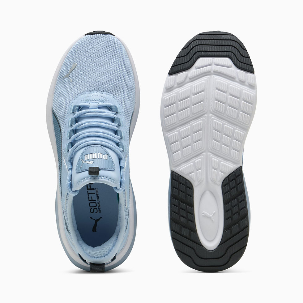 Миниатюра: PUMA Amplifier