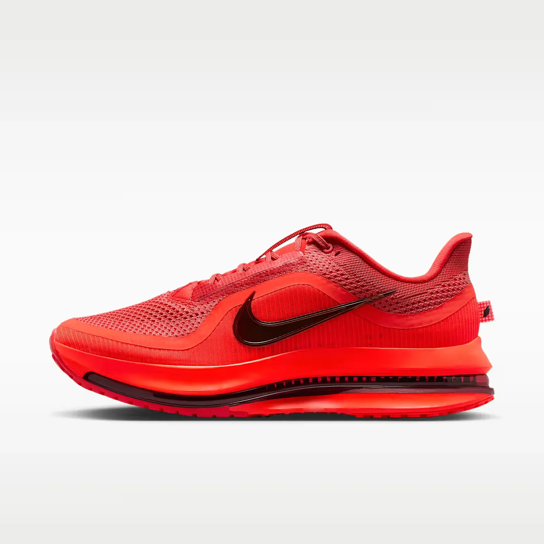Nike Pegasus Premium