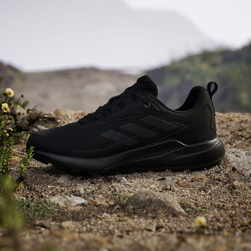 Миниатюра: Terrex Anylander Rain.Rdy