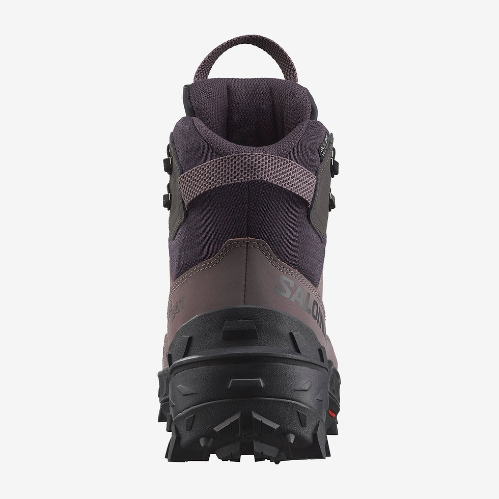 Миниатюра: Crosstrak Powder