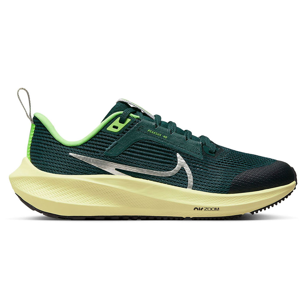 Миниатюра: Nike Pegasus 40