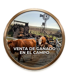 Venta de Ganado en el campo.png