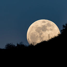 Adloniant | Edrycha Fyny!