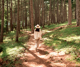 Forest Walking_edited.jpg