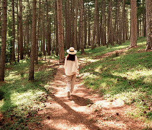 Forest Walking_edited.jpg