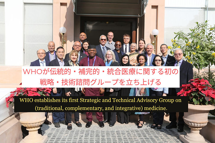 stag-tm-inaugural-meeting-group-photo-traditional-medicine_edited_edited.jpg