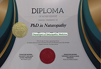 wonmu-japan_edited (1).png