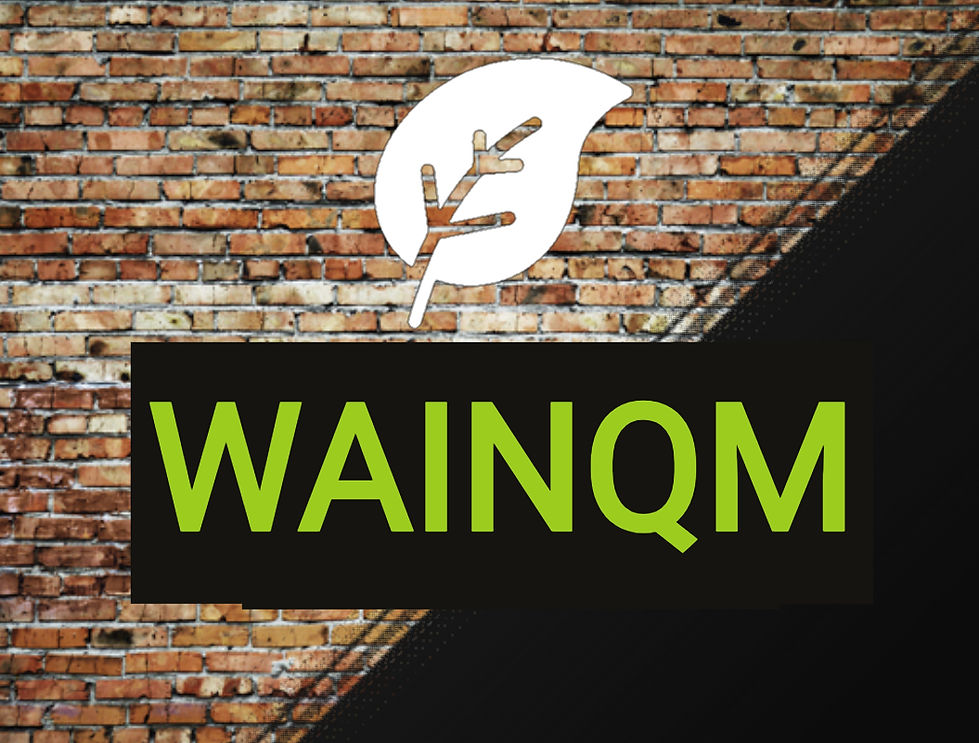 スクリーンショット_12-3-2026_93735_turbologo_edited_edited_edited_edited_edited (1) (1)_edited (1).