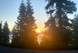 IMG_6112.jpeg