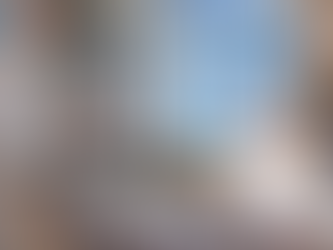 해포쿠 정품, 독일에서 온 특별한 힘