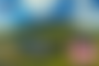 아이코스구입방법, 남성 활력 챙기는 하나약국