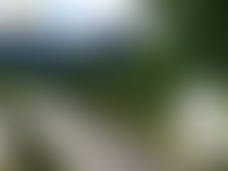 정품 레비트라 효과, 믿을 수 있는 선택은 골드비아