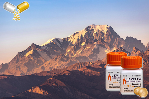 레비트라가격비교, 마음의 여유를 위한 과학적 기반