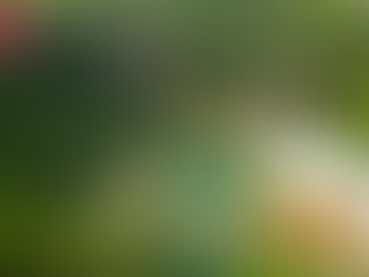 골든시알리스25mg가격, 오래된 사랑을 위한 새로운 조율