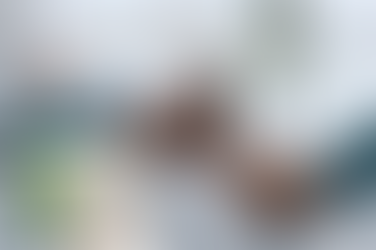 시알리스의 효과, 복용 타이밍, 금기사항 등 복용 전 반드시 알아야 할 핵심 정보!