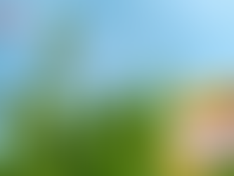 골드드래곤 구입 - 리듬을 조율하는 신뢰의 구성 요소, 현실적인 선택