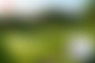 정품카마그라 구매처, 흔들림 없는 자신감