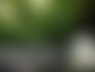 레비트라 후기 디시 경험담과 활력 비밀 - 골드비아