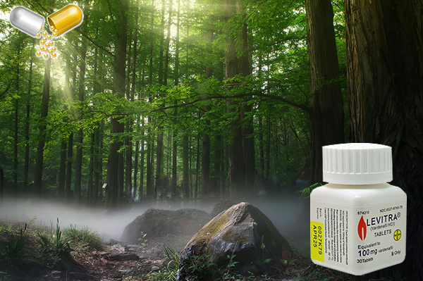 레비트라 후기 디시 경험담과 활력 비밀 - 골드비아