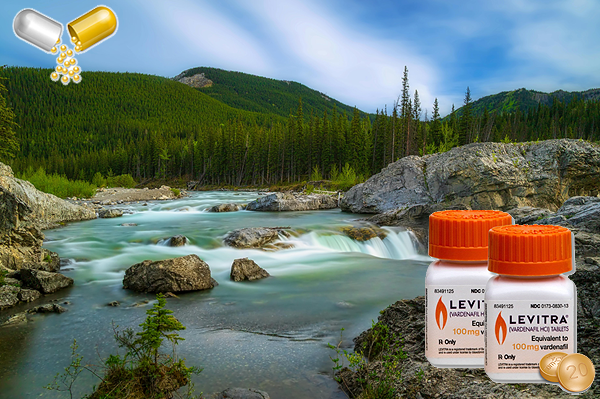 레비트라 구매로 확인하는 효과와 경험