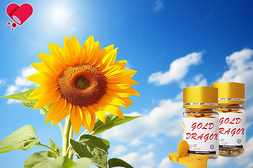 골드드래곤 후기, 남성 자존감이 무너지는 순간 TOP 5