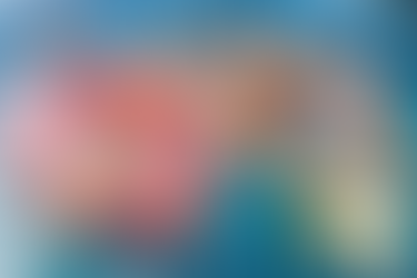 청주 시알리스처방, 작은 차이가 만든 큰 변화